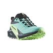 Picture of SALOMON - SENSE RIDE 5 GTX W